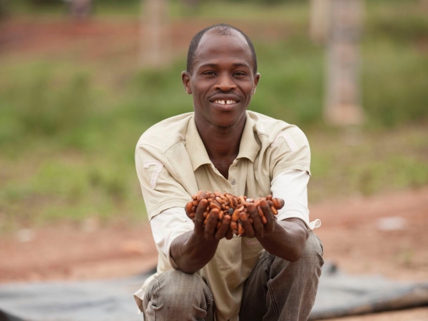 Large-ThrivingPeople_Section2_CocoaHarvestCoteD'Ivoire_2f.jpg